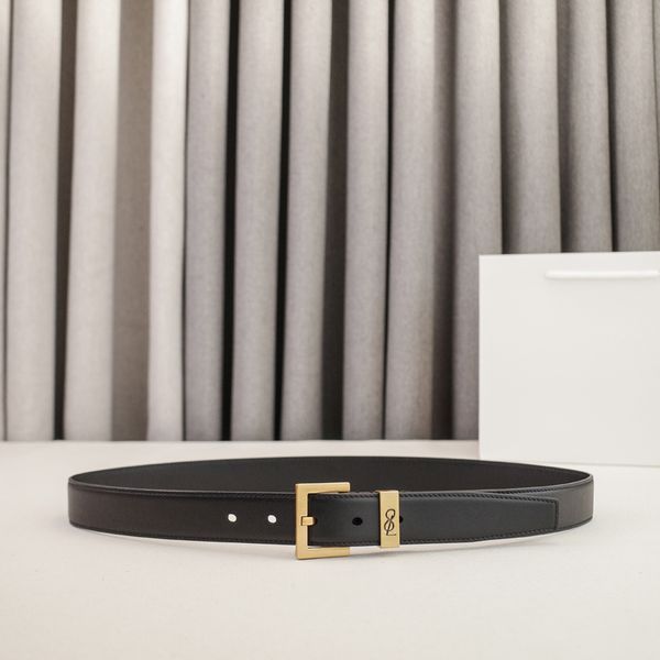 Womens Designer Belt Genuine Leather Belts for Women 2.0/3.0cm Width Leisure Needle Buckle Models Optional Lady Waistband Luxury Waist Girdle 90-115cm Length - Fashion Accessories - chnbuybuy